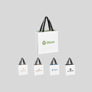 Altitude Galleria Mini Paper Gift Bag