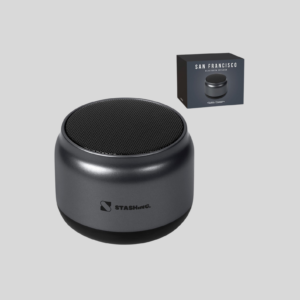 Swiss Cougar San Francisco Bluetooth Speaker
