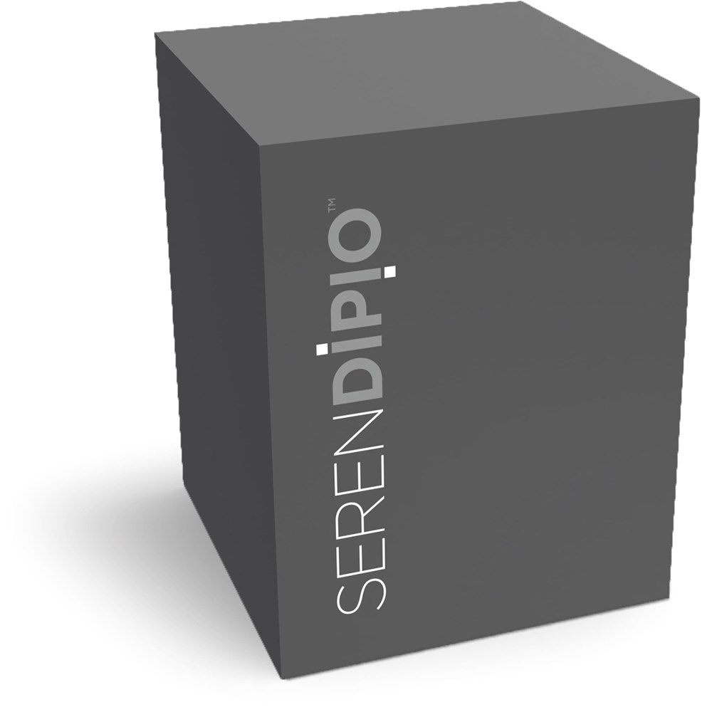Serendipio Sheridan Stainless Steel Vacuum Tumbler - 300ml - Image 6